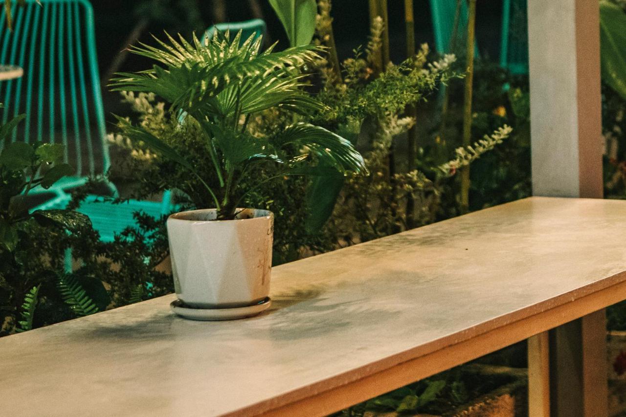 Dai Duong La Gi Homestay & Coffee Eksteriør bilde